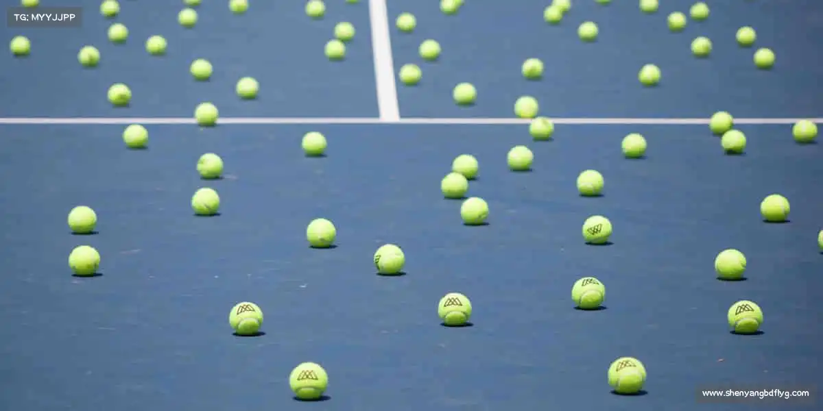 星空电竞🏐团队协作,永不言弃 —— 在体育的世界里,我们都是追光者!